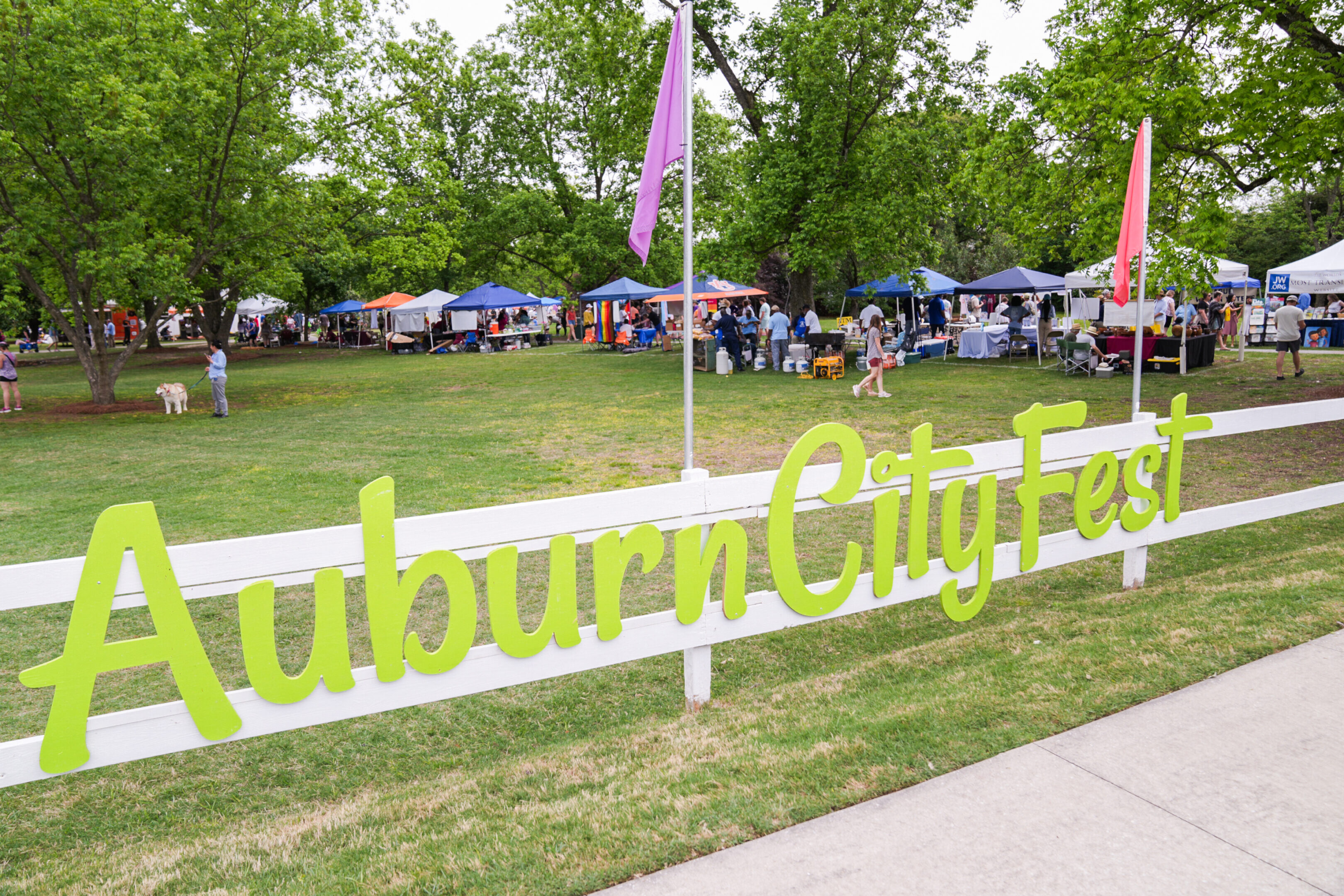 23rd Auburn CityFest Space Adventures - City of Auburn News