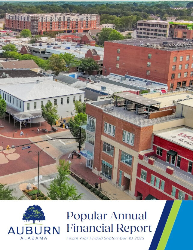 Popular Annual Financial Report Cover