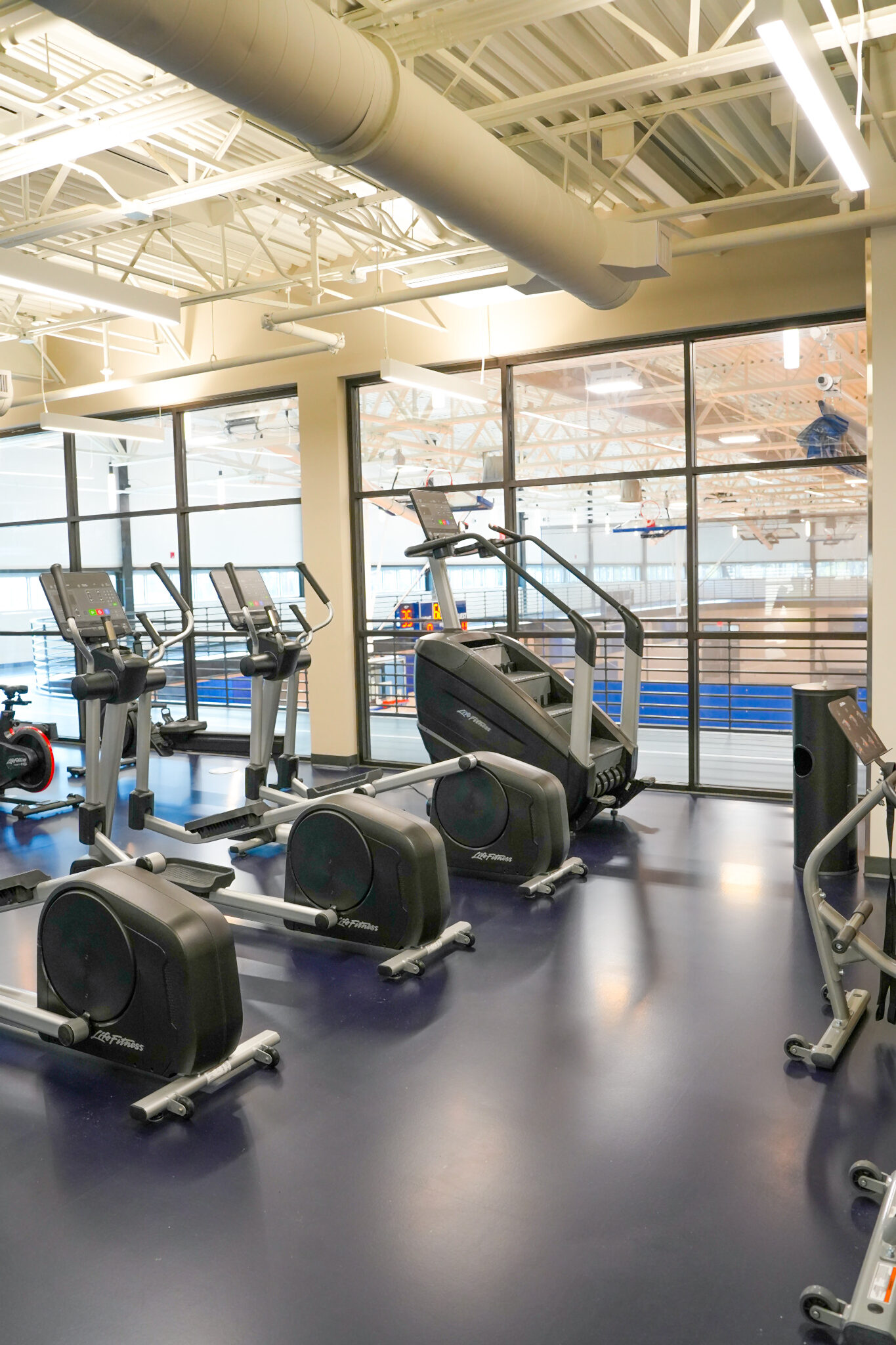 Fitness center with cardio equipment, including ellipticals and treadmills, positioned near large windows in a gym setting.