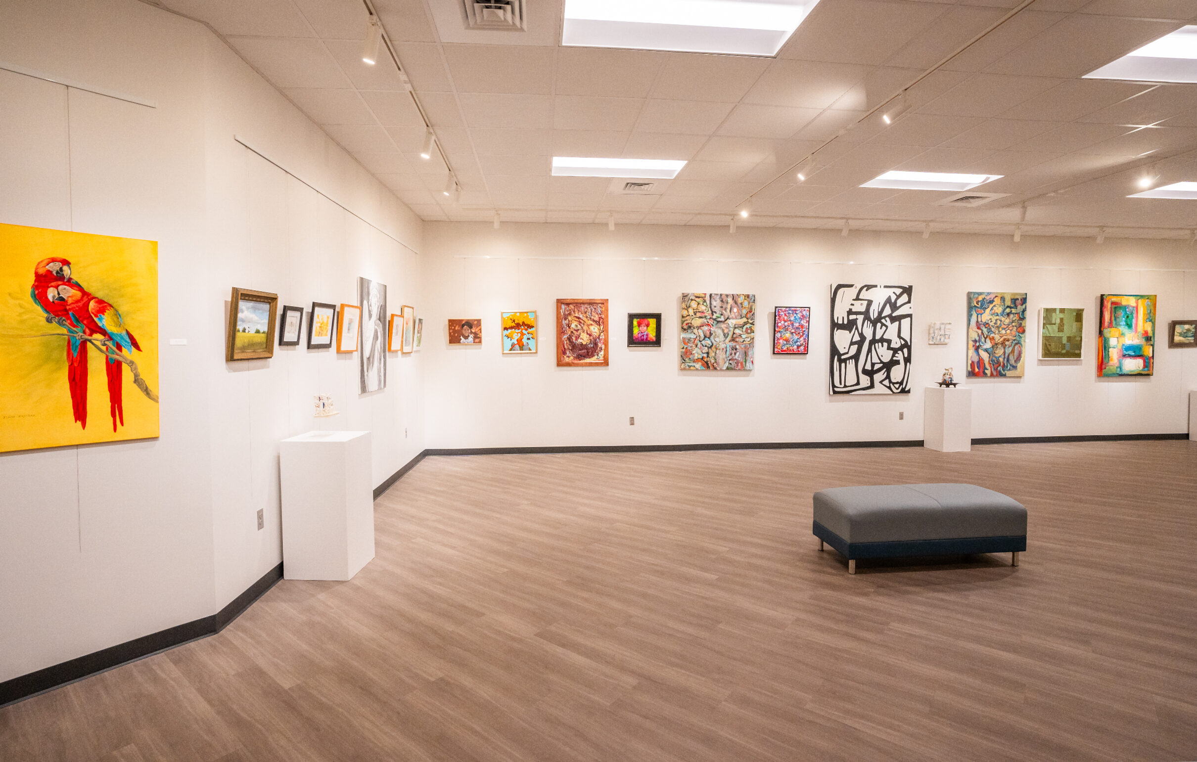 Spacious art gallery with framed paintings displayed on white walls, open floor space, and a bench for seating.