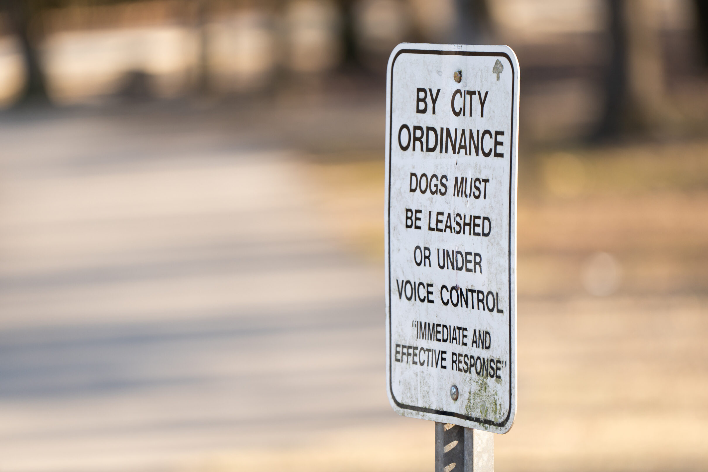 Park sign stating “By city ordinance, dogs must be leashed or under voice control. Immediate and effective response,” posted along a pathway.