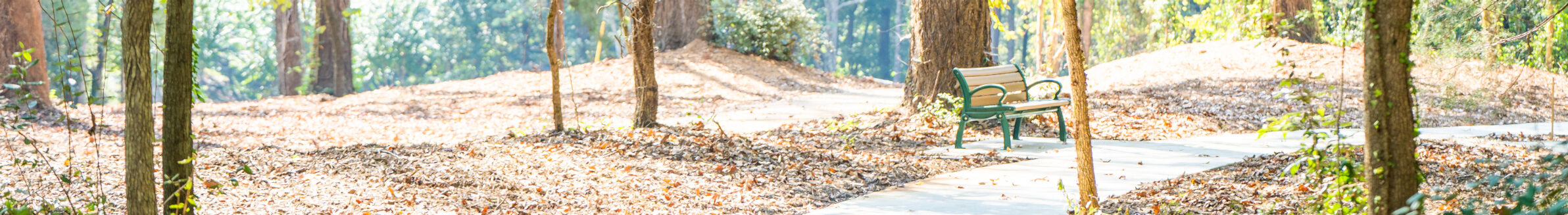 Curving paved path through a wooded park with tall trees, fallen leaves, and a bench in the distance.