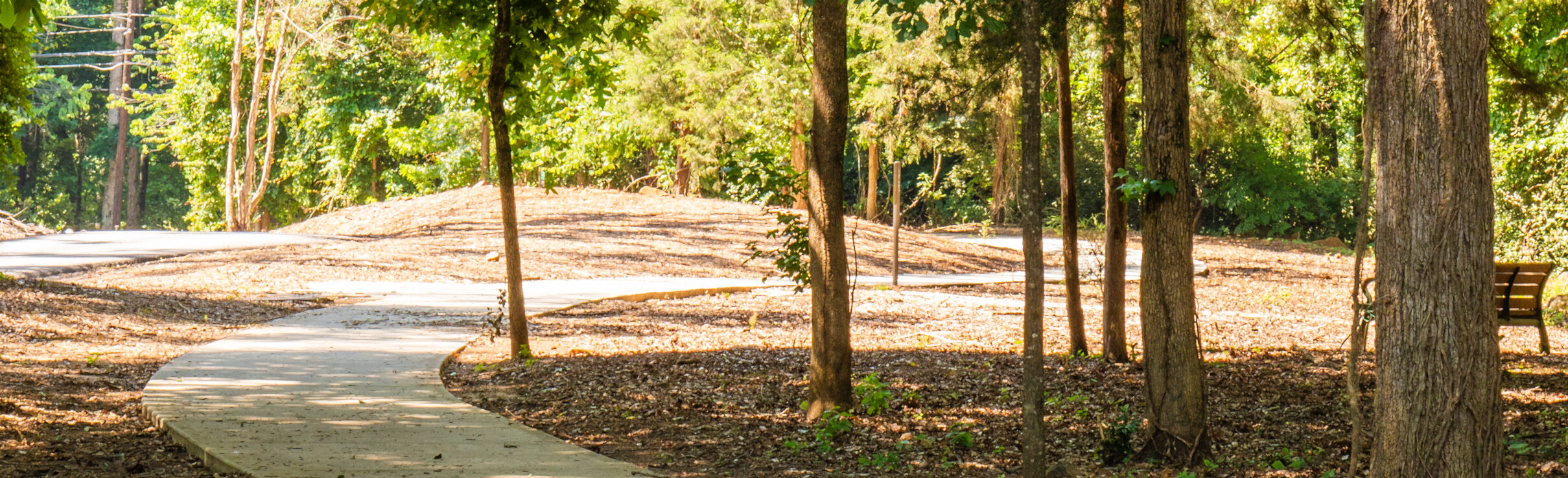 Curving paved walking path winding through a wooded area with tall trees and natural ground cover.