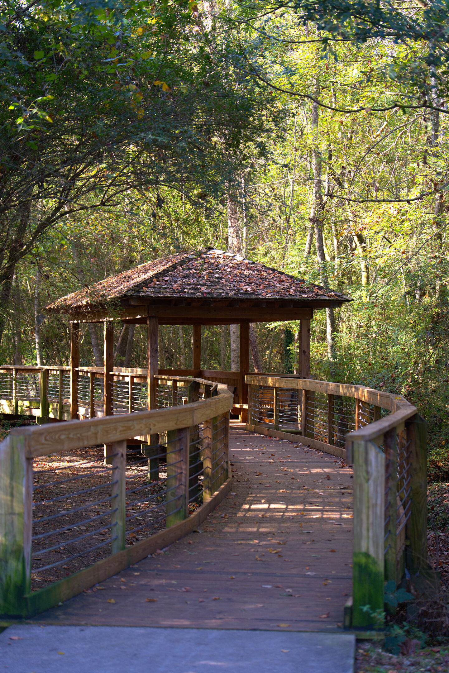 Elevated wooden boardwalk with railings winding through a wooded area, featuring a covered seating pavilion along the path which continues further into the trees.