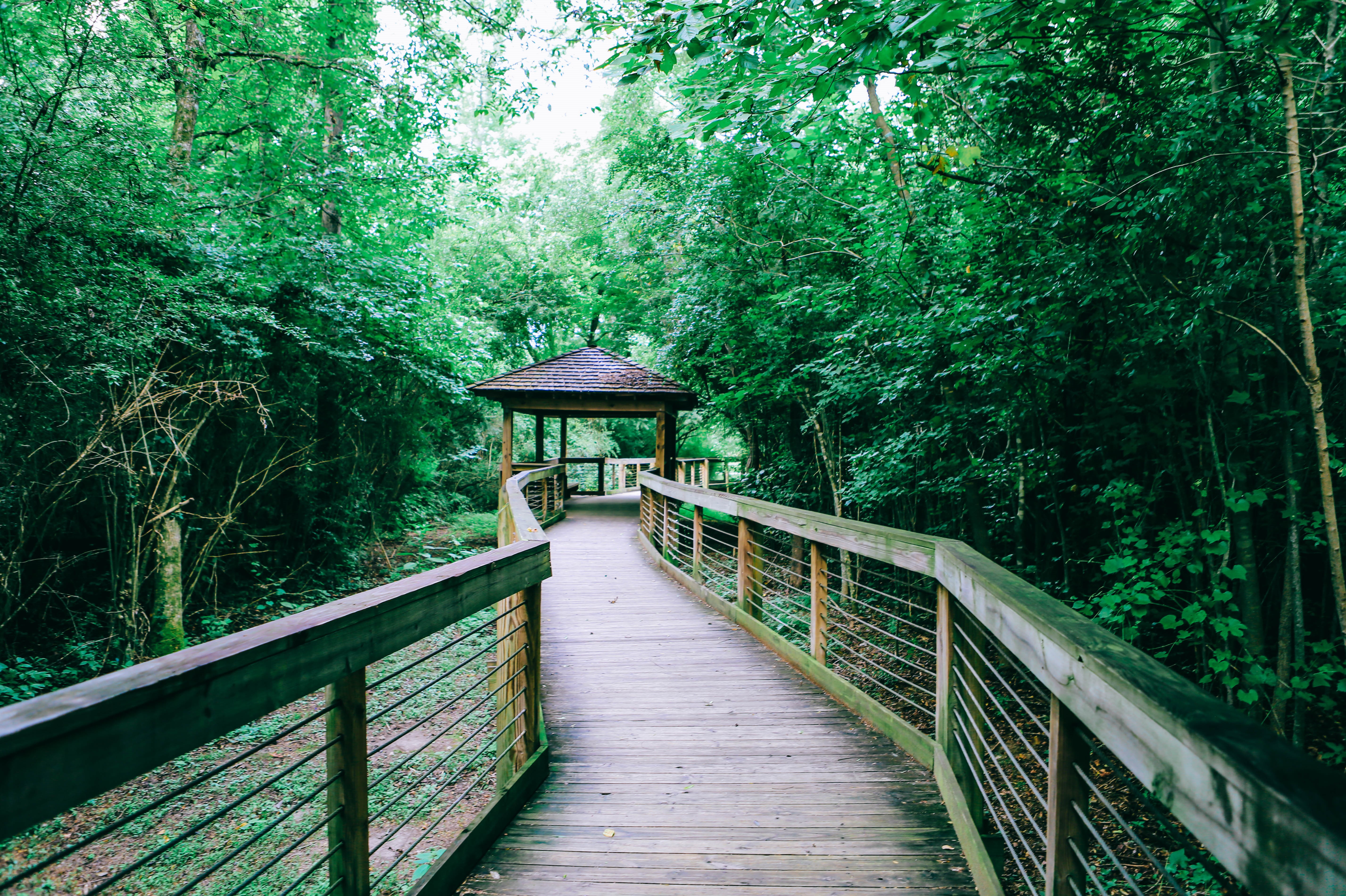 Town Creek Park venue photo
