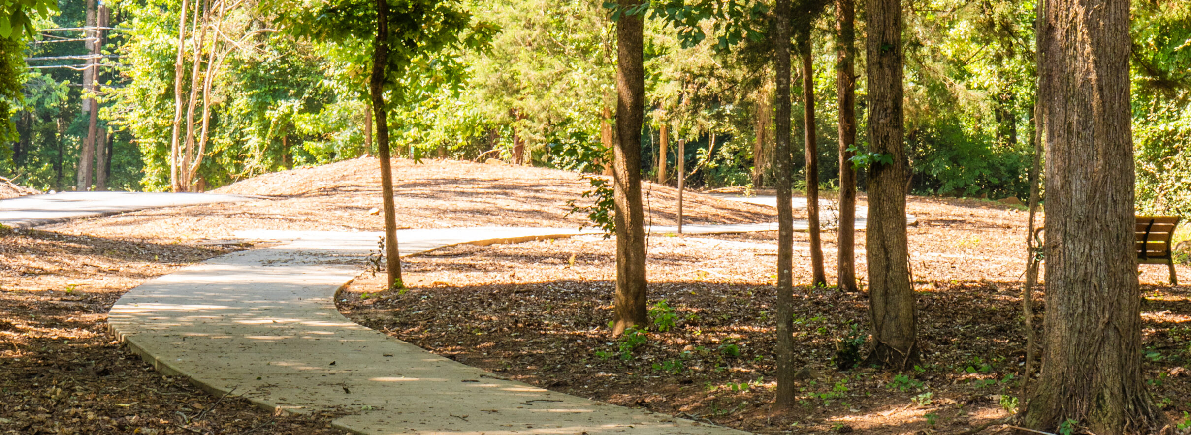 A paved walking pathway in a wooded park setting.
