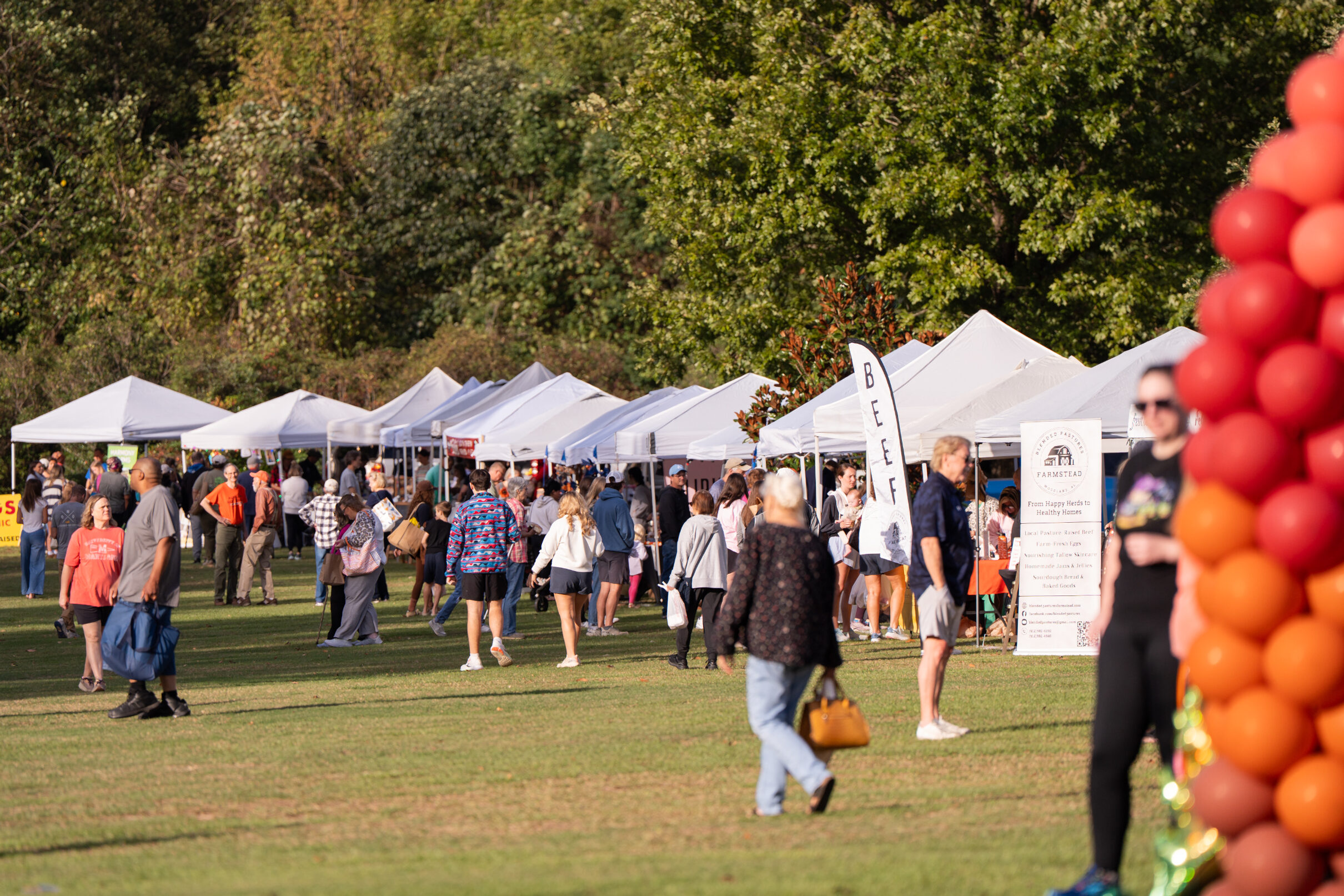People browsing vendor tents at an outdoor market set up on a grassy field with multiple booths and displays.